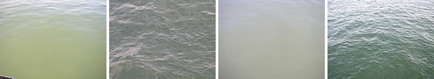 images of the sea surface